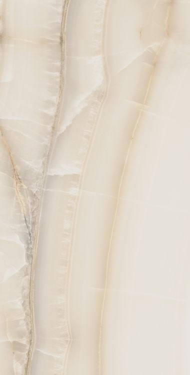 Akoya Ivory Matte 24 x 48